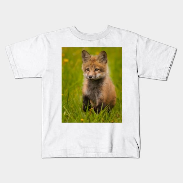 Red Fox Kit Kids T-Shirt by jforno